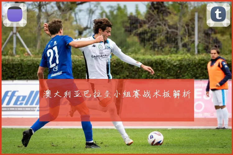 澳大利亚巴拉圭小组赛战术板解析