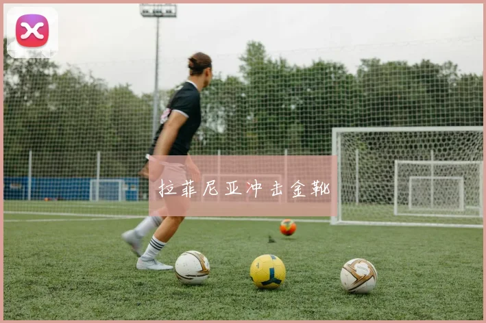 拉菲尼亚冲击金靴 - 星空app登录入口