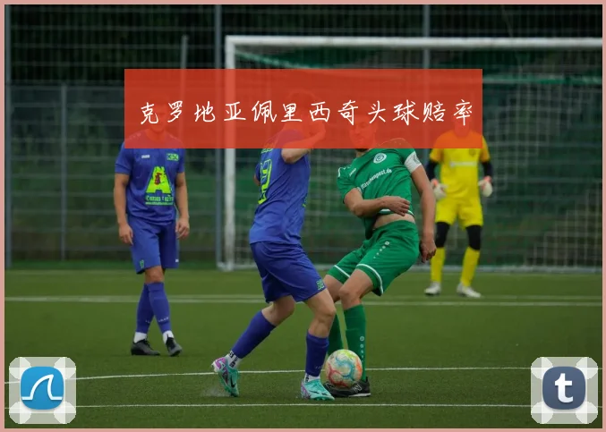 克罗地亚佩里西奇头球赔率 - 星空app登录入口