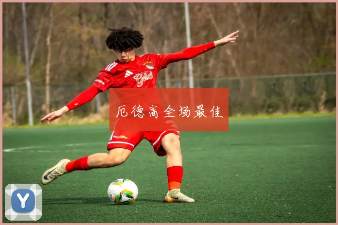 厄德高全场最佳 - 星空app登录入口