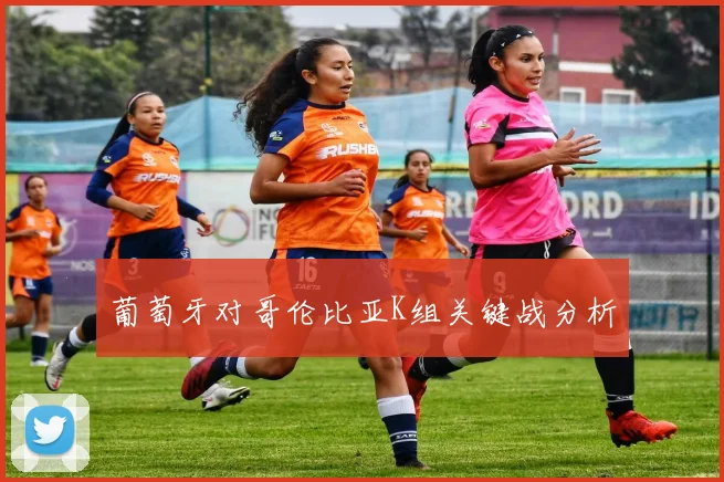葡萄牙对哥伦比亚K组关键战分析