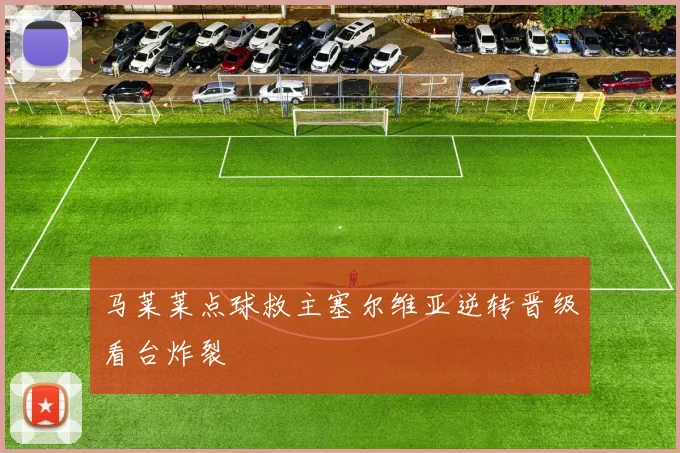 马莱莱点球救主塞尔维亚逆转晋级看台炸裂