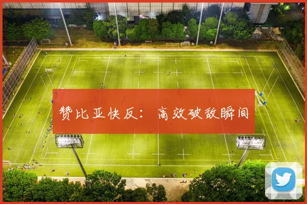 赞比亚快反：高效破敌瞬间 - 星空app登录入口