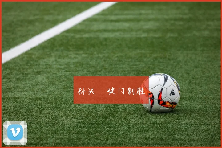 孙兴慜破门制胜 - 星空app登录入口