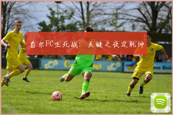 首尔FC生死战：关键之夜定乾坤 - 星空app登录入口
