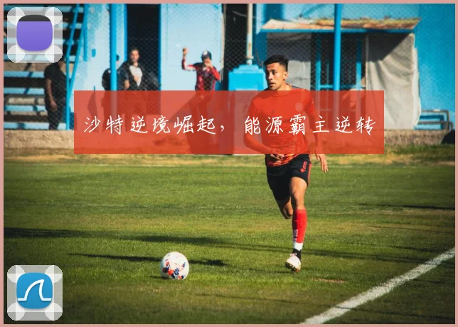 沙特逆境崛起，能源霸主逆转 - 星空app登录入口