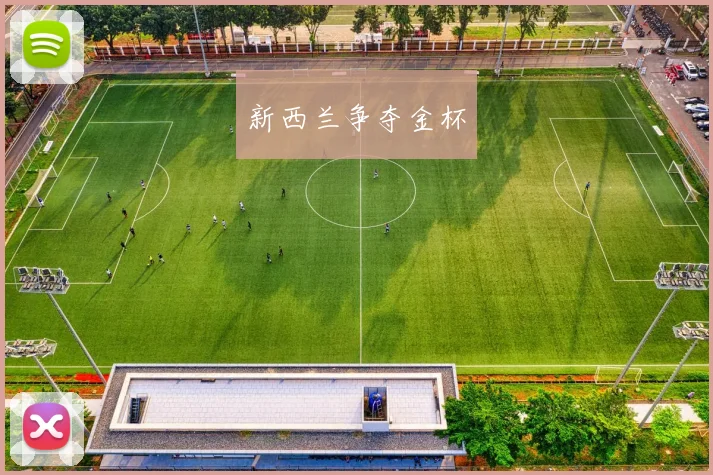 新西兰争夺金杯 - 星空app登录入口