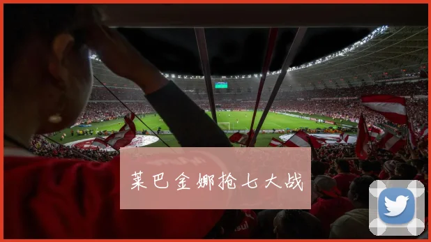 莱巴金娜抢七大战 - 星空app登录入口