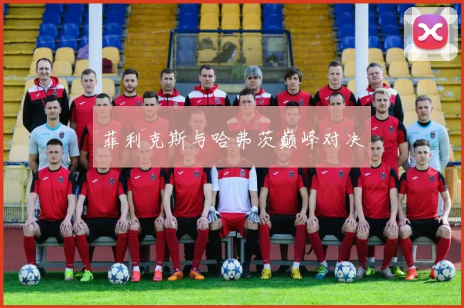 菲利克斯与哈弗茨巅峰对决 - 星空app登录入口
