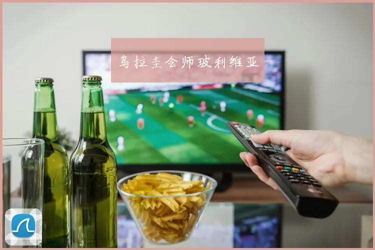 乌拉圭会师玻利维亚 - 星空app登录入口