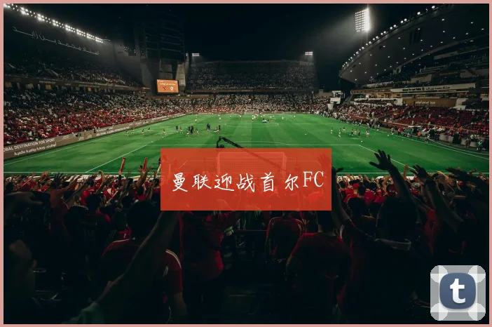曼联迎战首尔FC - 星空app登录入口