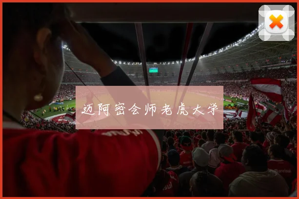 迈阿密会师老虎大学 - 星空app登录入口