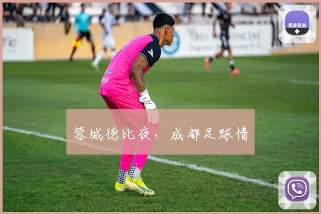 蓉城德比夜，成都足球情 - 星空app登录入口