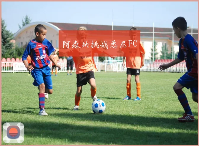 阿森纳挑战悉尼FC - 星空app登录入口