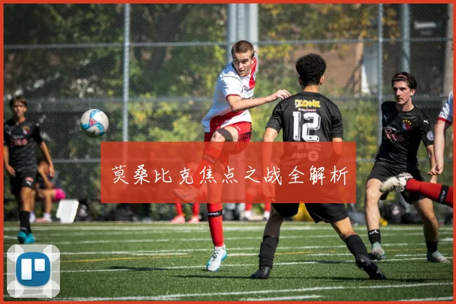 莫桑比克焦点之战全解析 - 星空app登录入口