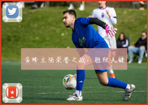 黄蜂主场荣誉之战，胜败关键 - 星空app登录入口