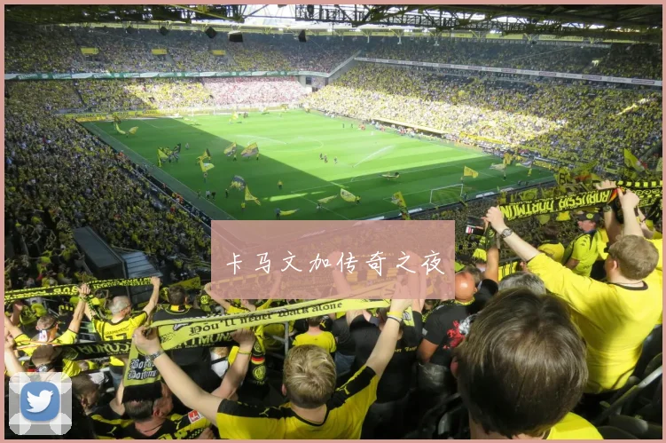 卡马文加传奇之夜 - 星空app登录入口