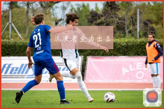 流浪者全力出击 - 星空app登录入口