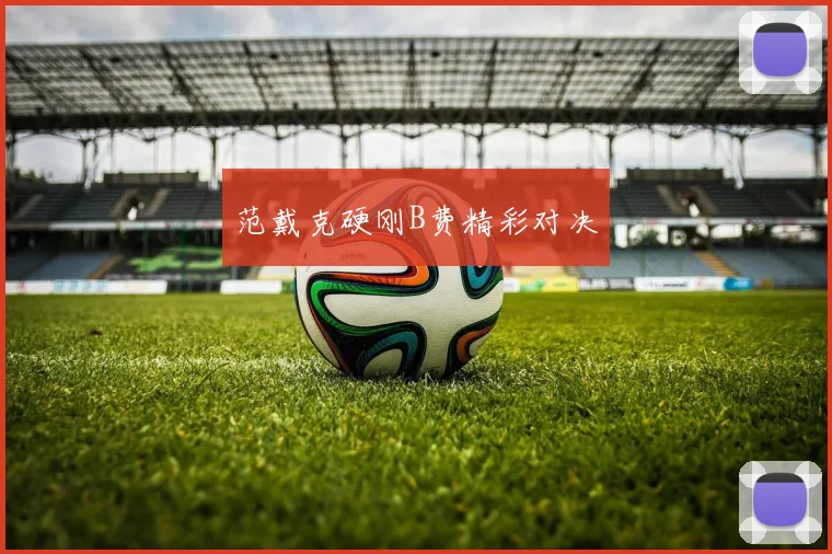 范戴克硬刚B费精彩对决 - 星空app登录入口