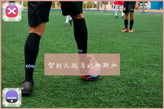 智利大战马达加斯加 - 星空app登录入口