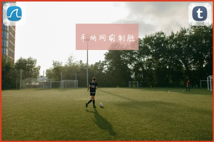 辛纳网前制胜 - 星空app登录入口