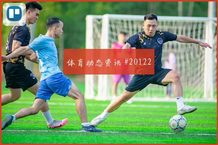 突尼斯与瑞典世界杯交锋核心区域人数配置可能直接影响比赛节奏